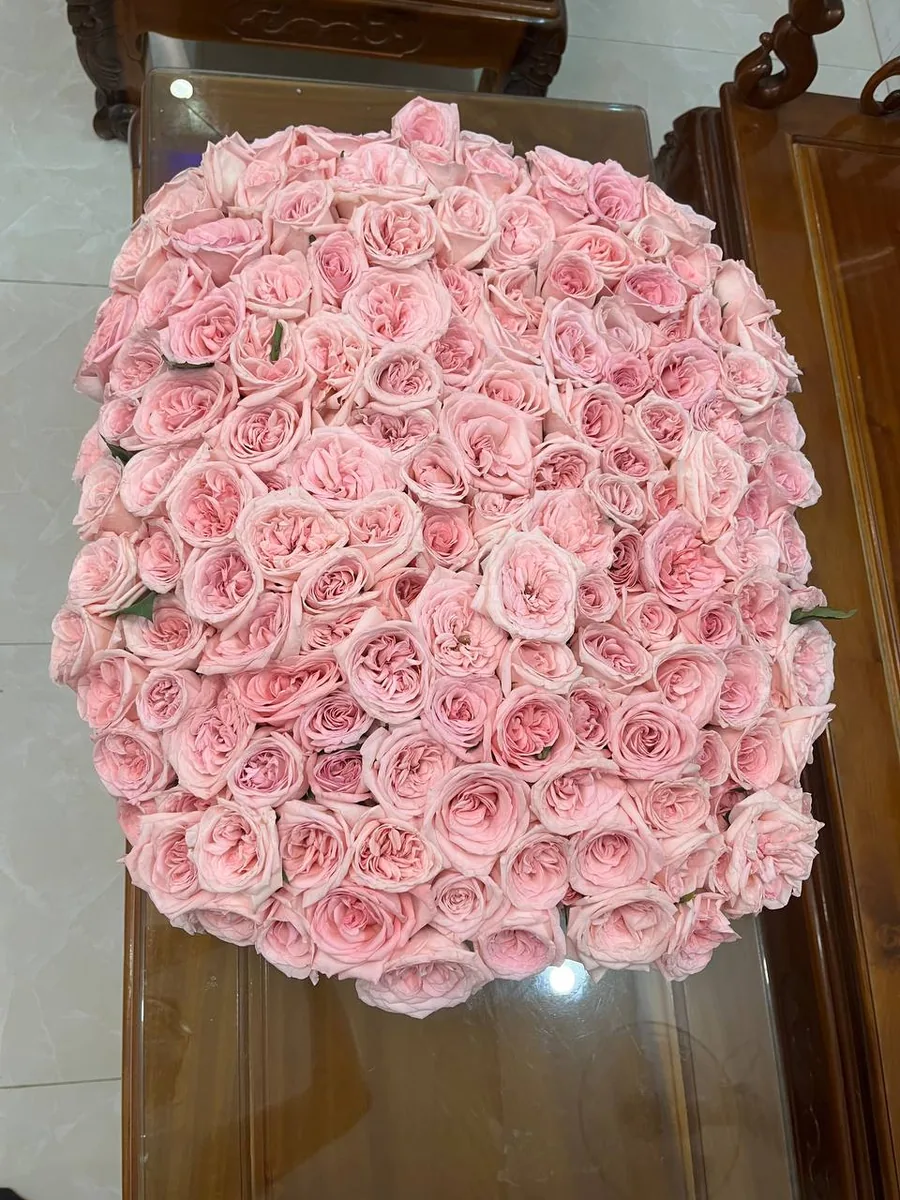 151 pink roses in a basket with a pink ribbon Nha Trang delivery 7