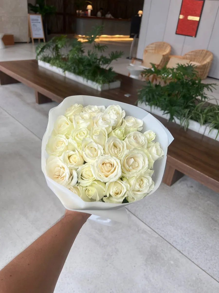나트랑 핑크 리본 화이트 포장 흰 장미 25송이 배달