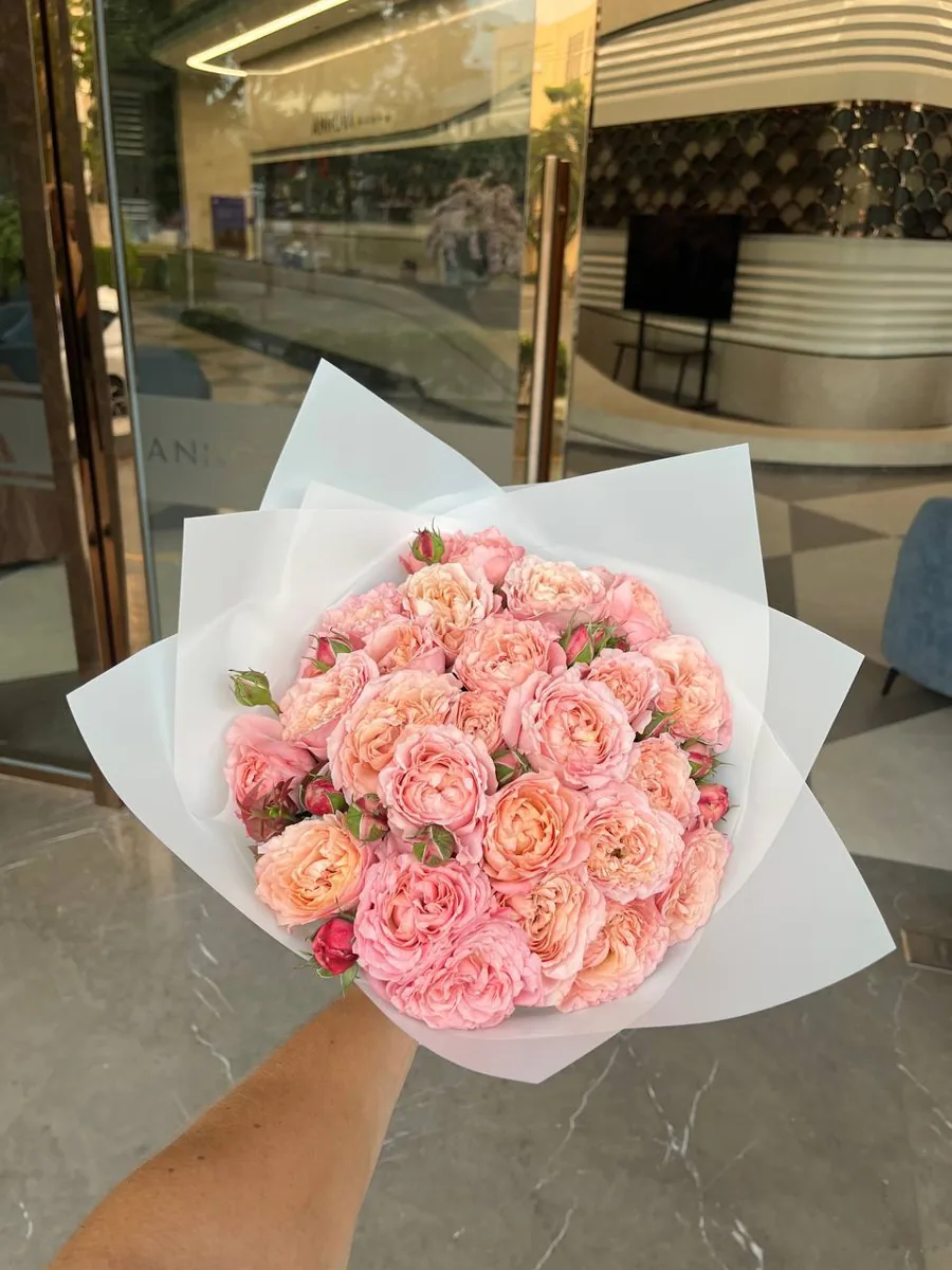 25 garden pink roses Nha Trang