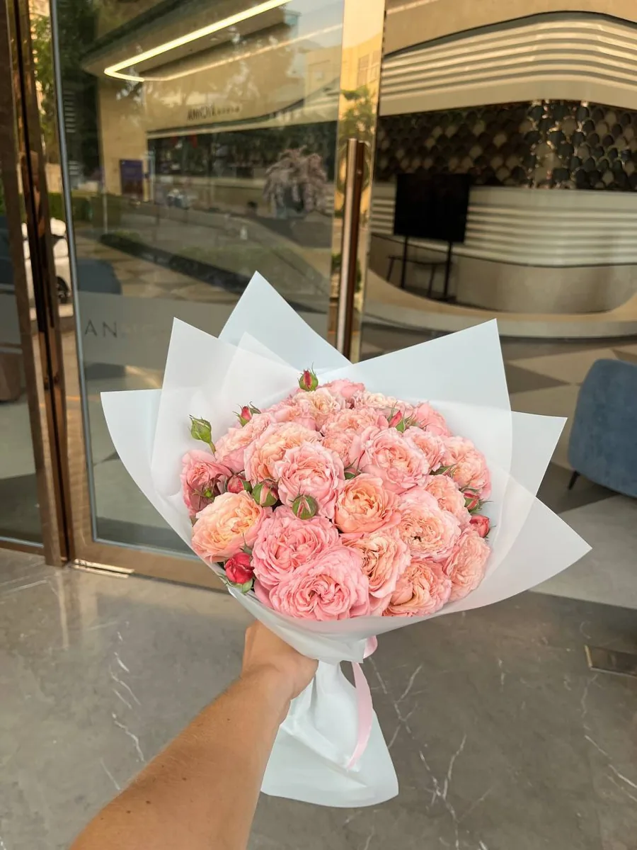 25 garden pink roses Nha Trang
