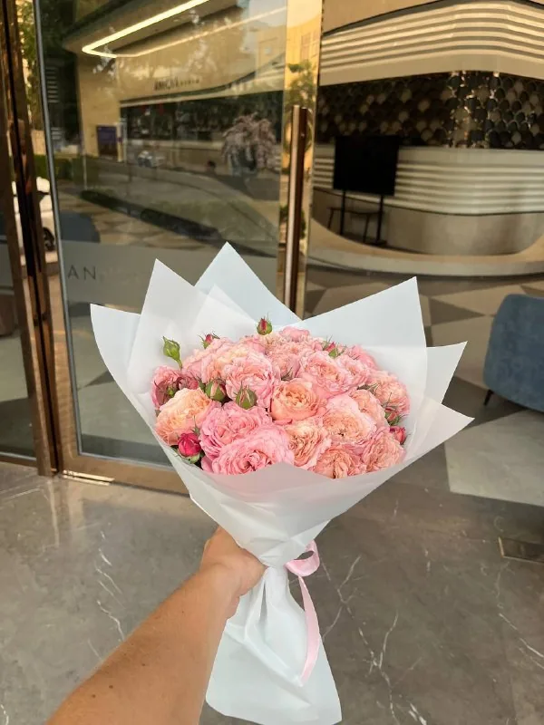 25 garden pink roses Nha Trang