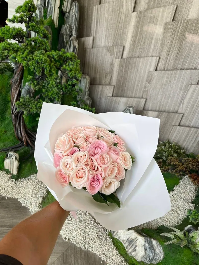25 pink roses delivery Nha Trang
