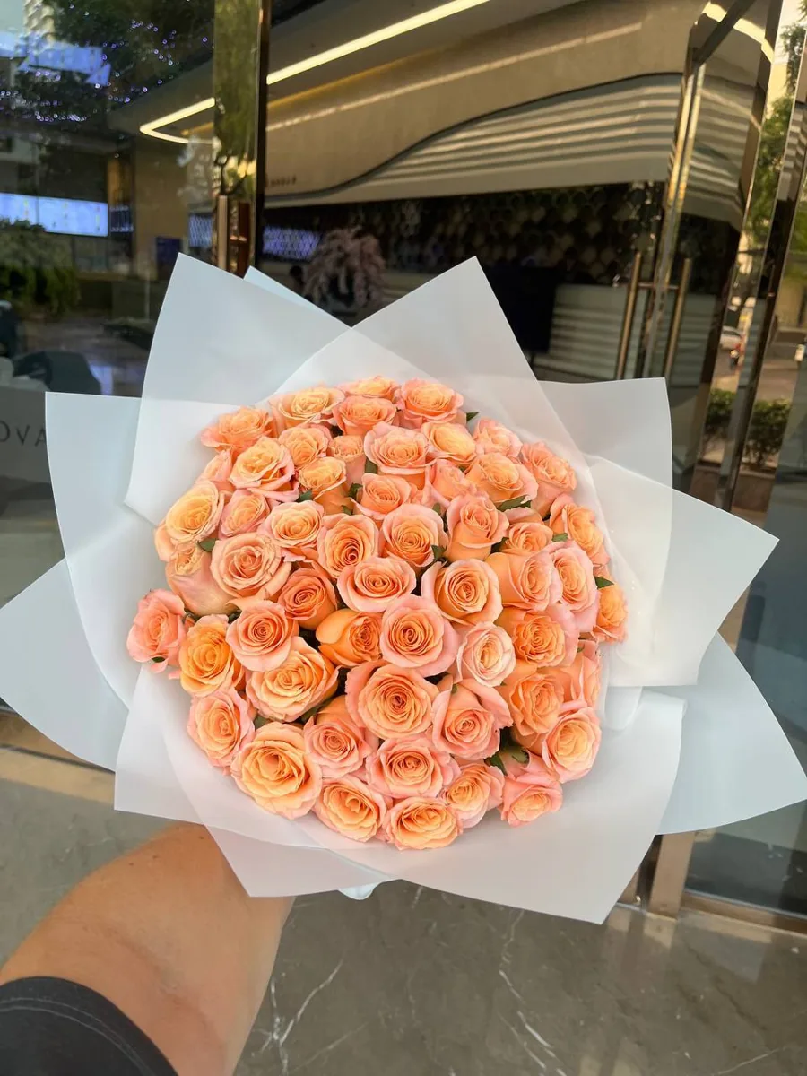 51 coral roses in white wrap delivery Nha Trang 1