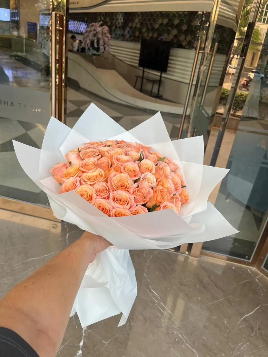 51 coral roses in white wrap delivery Nha Trang 2