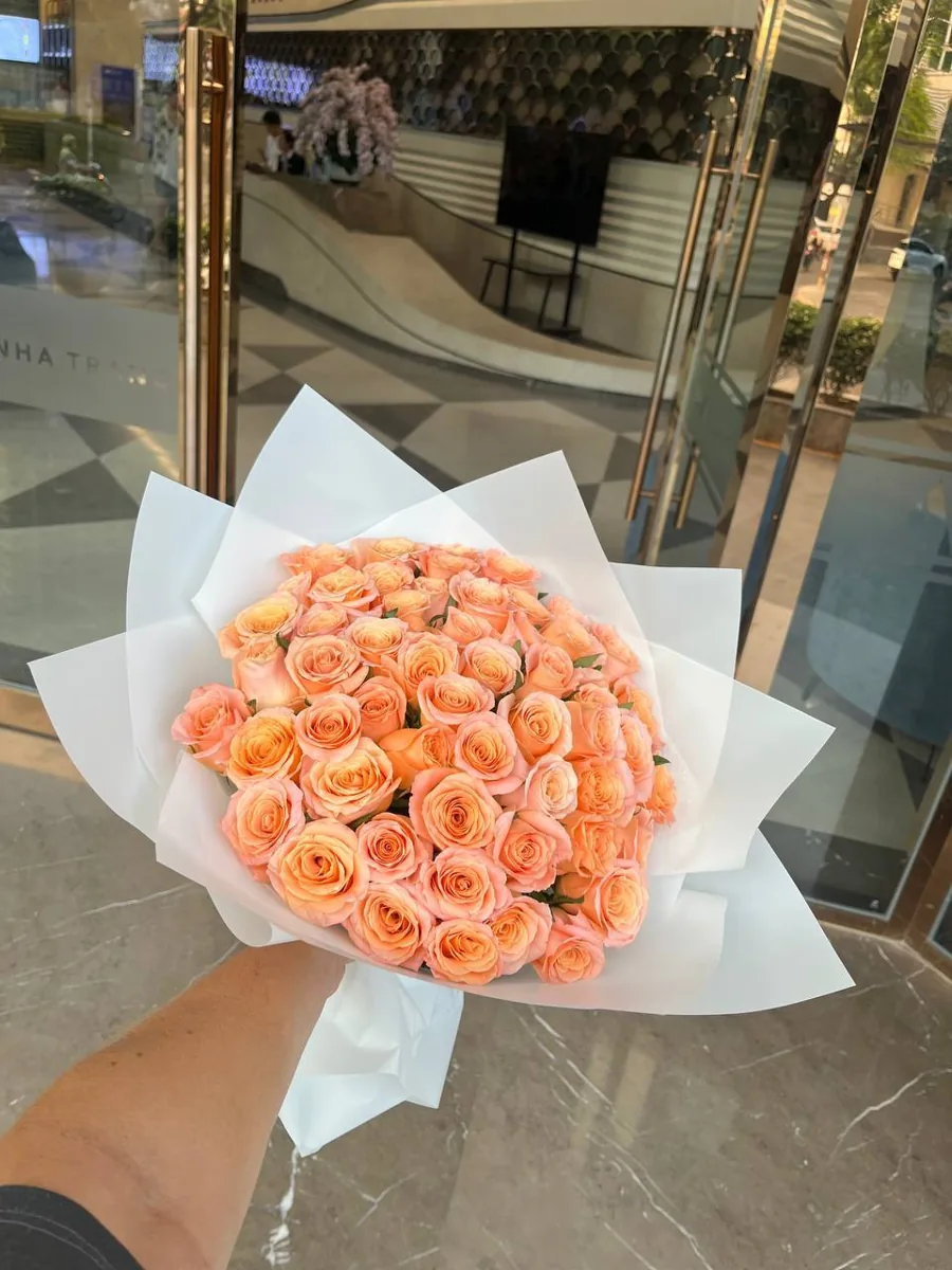 51 coral roses in white wrap delivery Nha Trang 3